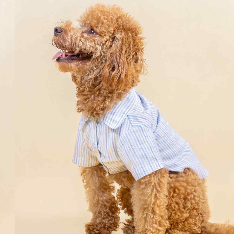 Lmb Camisa Cotton Rayas Vac, , large image number null